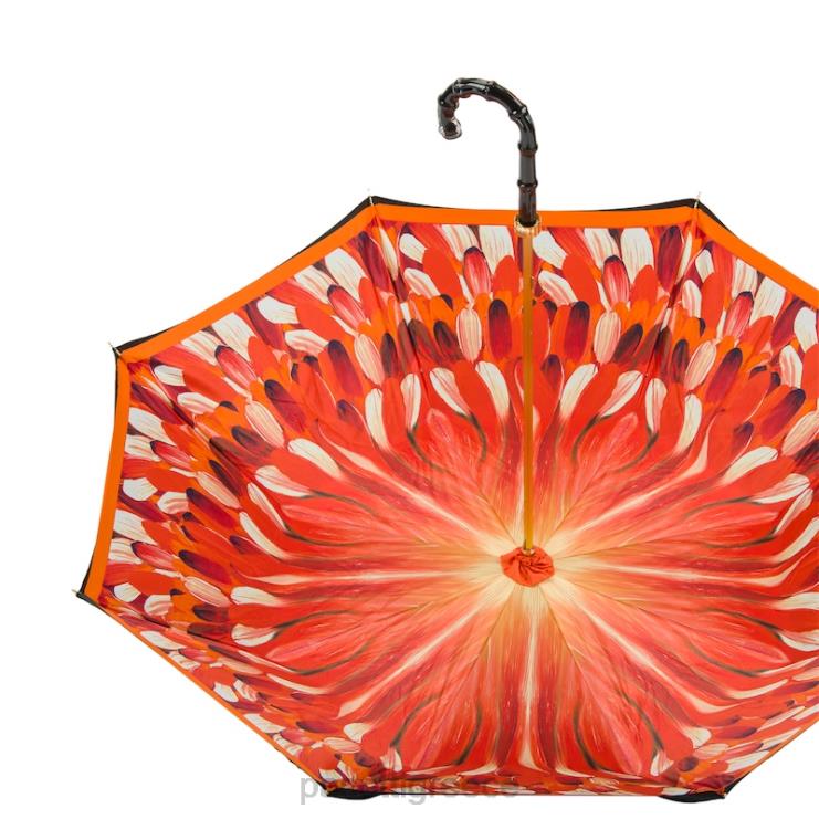 ομπρέλα | PASOTTI 189 30093-4 n5 - ομπρέλα με πορτοκαλί πινελιές διπλό πανί 2N6B8479 γυναίκες